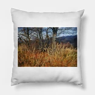 Bieszczady mountains Pillow