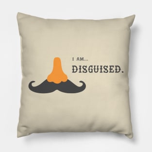 Disguised Pillow