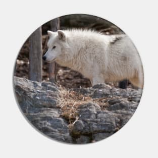 Arctic Wolf Pin