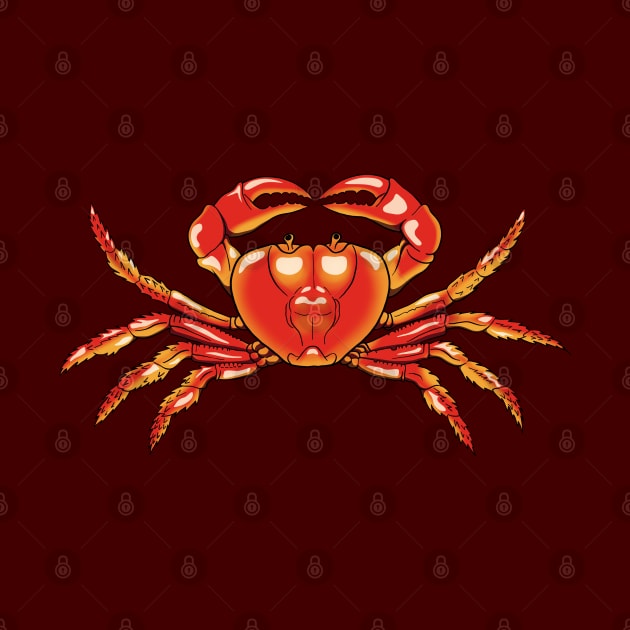 Crab isolated illustration by TMBTM