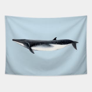 Bryde´s whale Tapestry