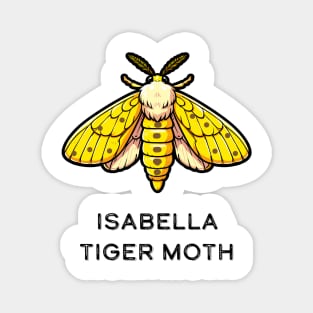 Isabella Tiger Moth Magnet