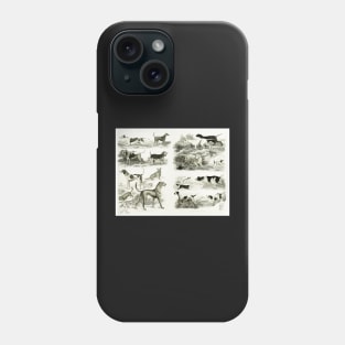 Old English Dog Breeds Phone Case