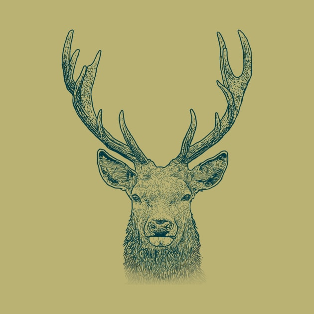 Deer by Alpine