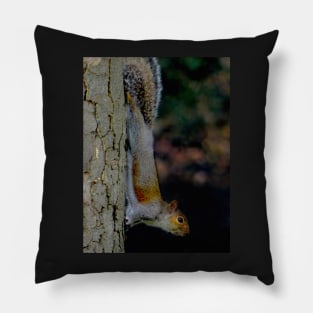 GONE NUTS FOR SQUIRREL YOGA ! Pillow