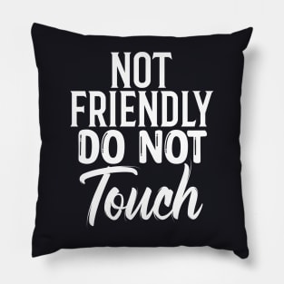 Not Friendly Do Not Touch Sarcastic Quote Funny Pillow