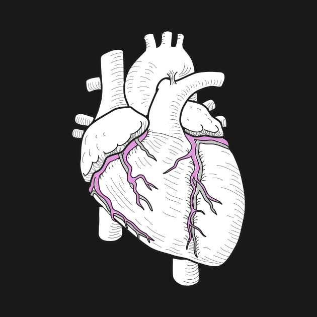 Anatomy of human heart by Science Design