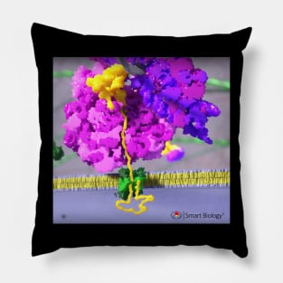 Ribosome Pillow