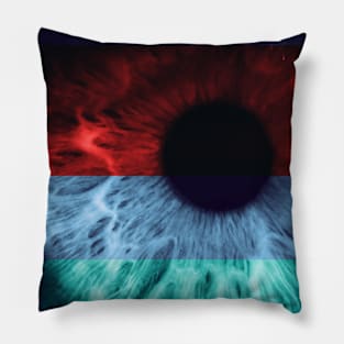 Pop Art Retina Design Pillow