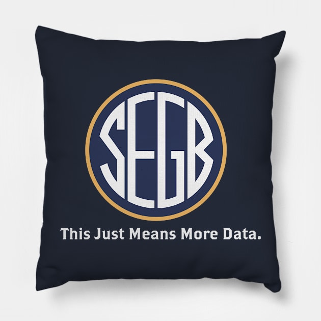 SEGB - This Just Means More Data Pillow by stark4n6