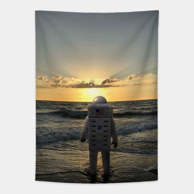 Astronaut far from home tapestry shop