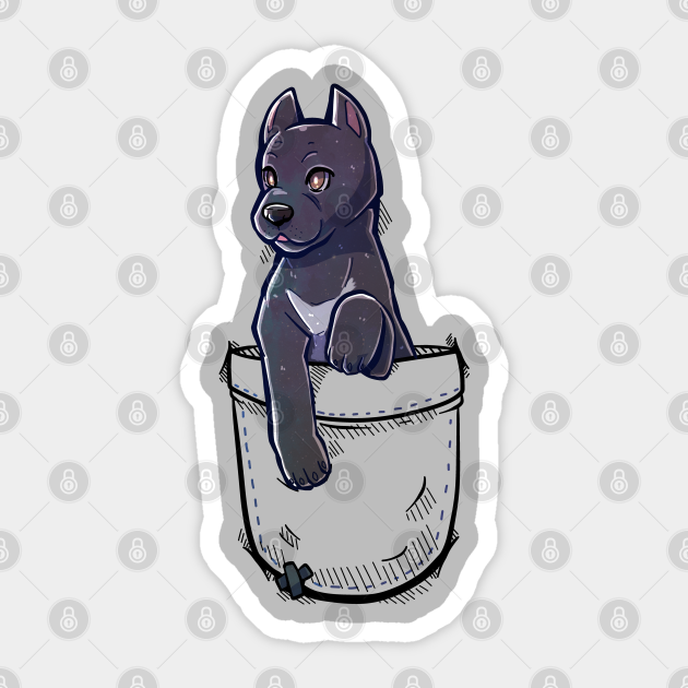 Pocket Cute Cane Corso Dog Cane Corso Dog Sticker Teepublic