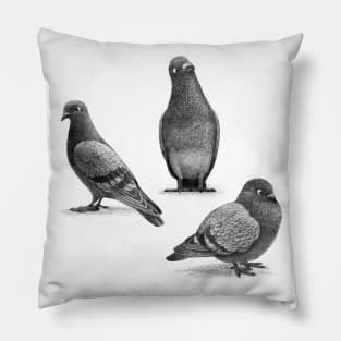 Three Pigeons Pillow