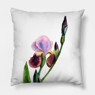 Magnolia Pillow