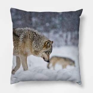 Timber Wolves Pillow