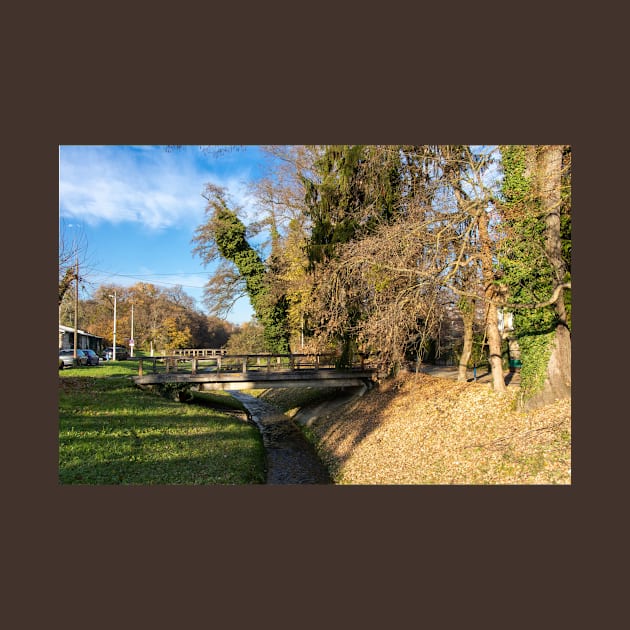 Wooden bridge over a pond surrounded by trees by KargacinArt