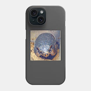 Six-Banded Armadilo Phone Case