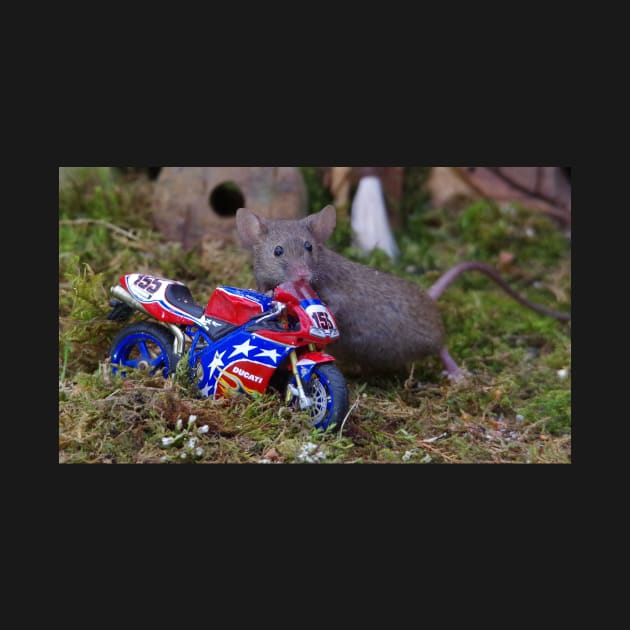 George the mouse in a log pile house with his ducati by Simon-dell