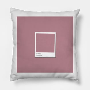 Tapestry Color Pillow