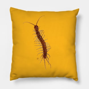 Friendly Centipede Wants to Cuddle! Pillow