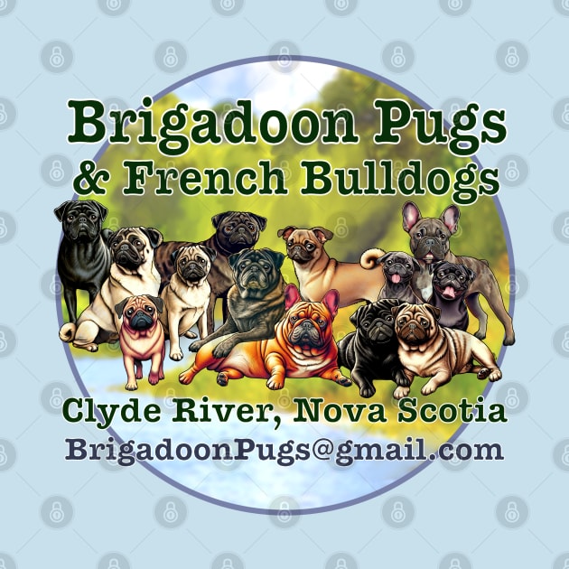 Brigadoon Pugs & French Bulldogs by FivePugs