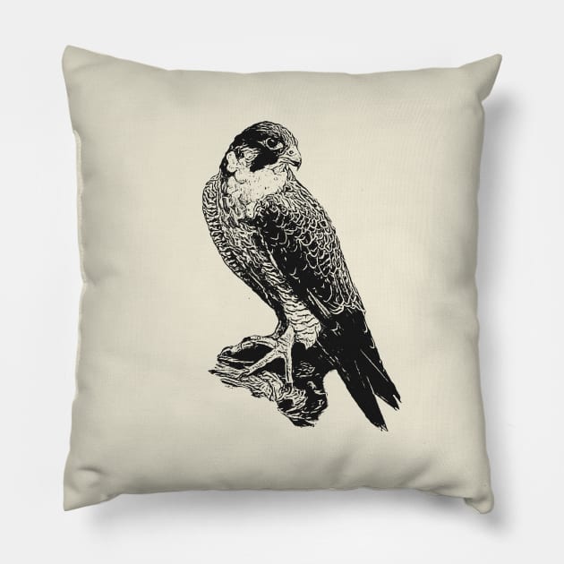 Falcon Pillow by Guardi