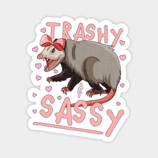 Trashy and Sassy Funny Possum Opossum Garbage Trash Magnet