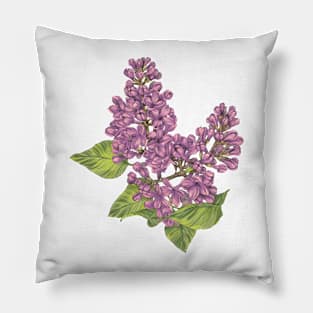 Hand-drawn lilac flower Pillow