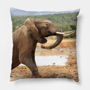 African Wildlife Photography Elephant Rising Pillow