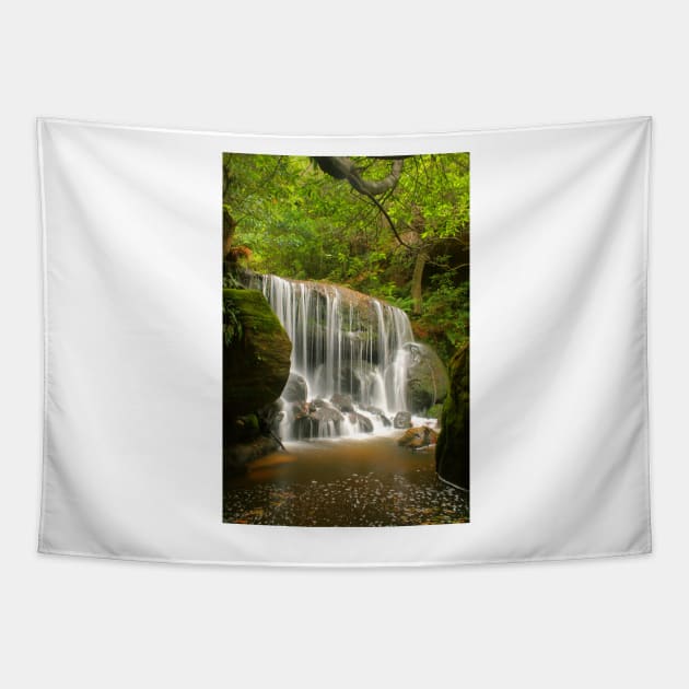 Blue Mountains waterfall Tapestry by Michaelm43