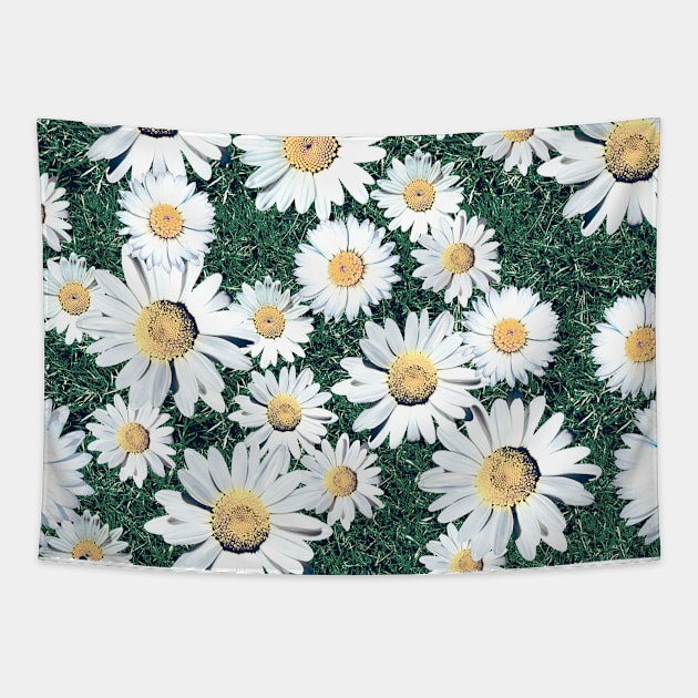 Daisy Blossom Seamless Pattern with Grass. Meadow Tapestry by ilhnklv