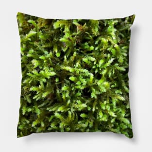 Natural Forrest Moss Pillow