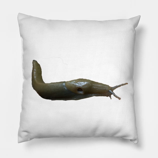 Banana Slug!! Pillow by stermitkermit