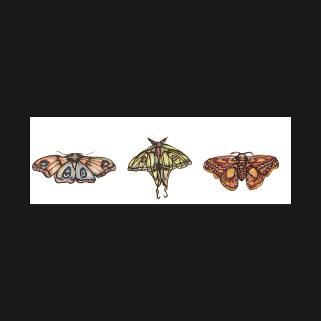 Moth Collection by corianndesigns