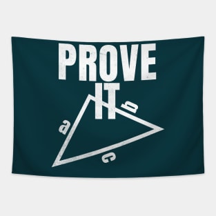 Prove It Teacher Math Teacher Triangles for Sarcastic People Tapestry