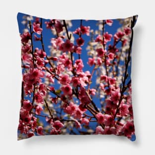 Spring Blossom Pillow