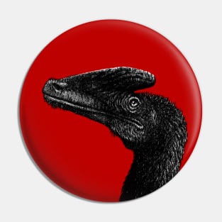 Guanlong wucaii Pin