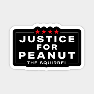 Justice-For-Peanut Magnet