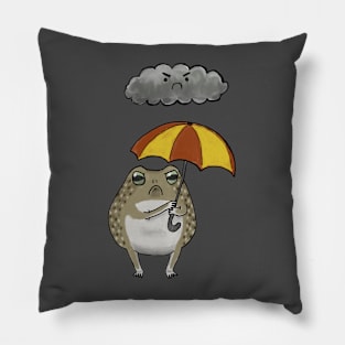 Frog and Cloud Pillow