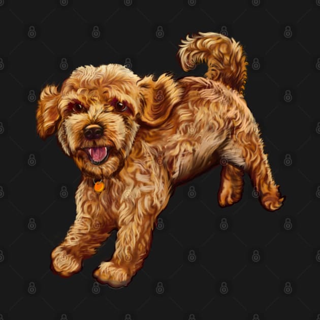 cavalier king charles spaniel poodle Cavapoo playing - Cavapoo puppy dog prancing about  - cavalier king charles spaniel poodle, puppy love by Artonmytee