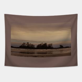 Sunset dreams Tapestry