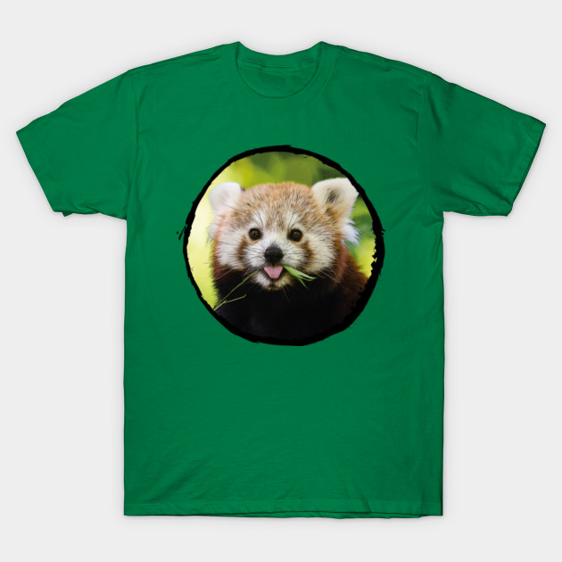 Oil Painted Cute Red Panda Panda T Shirt Teepublic