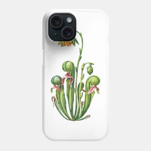 Kopie von Cobra Lily Darlingtonia Californica Apparel Botanical Drawing Pitcher Plant Phone Case