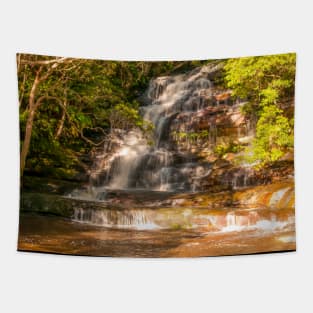 Somersby Falls, Central Coast, NSW, Australia Tapestry