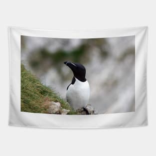 Razorbill on cliff top Tapestry