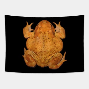 Anatomy of A Toad Black Outline Art Tapestry