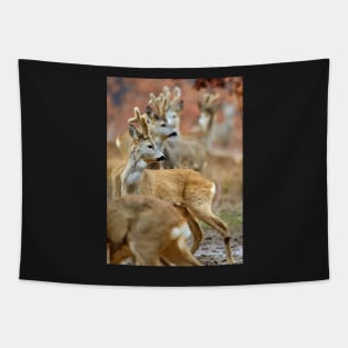 Roe deer family Tapestry