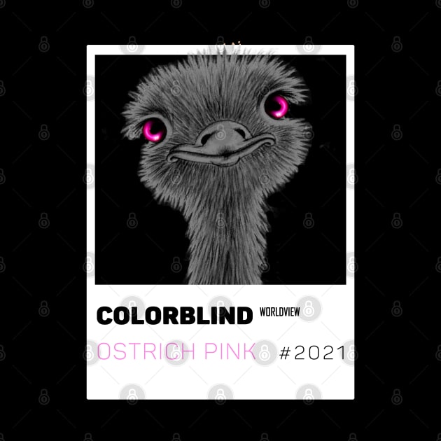 OSTRICH PINK - white card  by COLORBLIND WorldView by DREAM SIGNED Collection