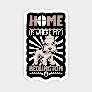 Home is with my Bedlington Terrier Magnet