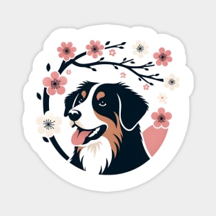 Appenzeller Sennenhund Revels in Spring Cherry Blossoms Magnet